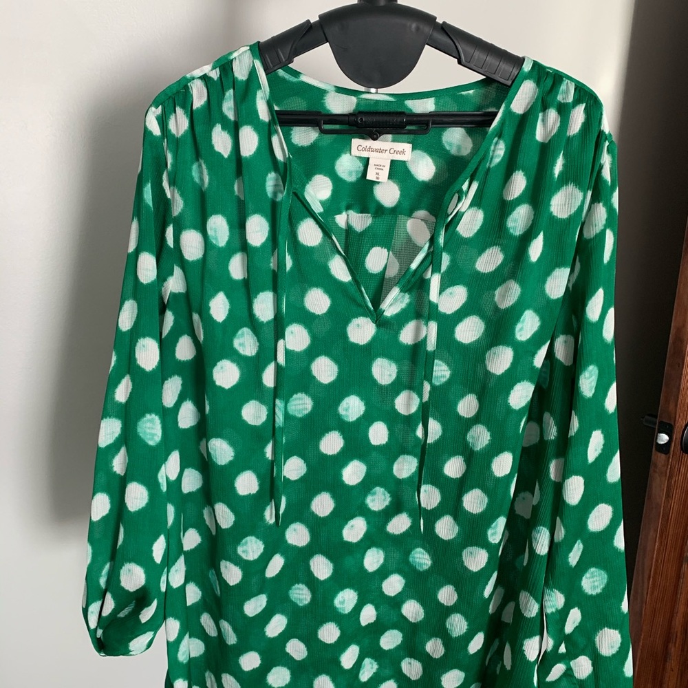Green polka dot sheer top